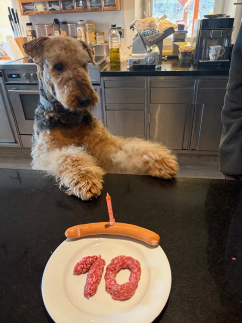 A-Wurf_AMY10Jahre