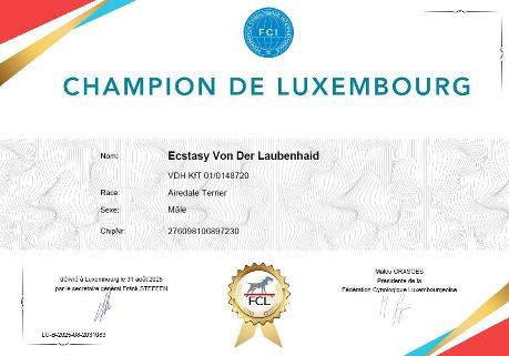 CACIB_Luxemburg2025_Champ