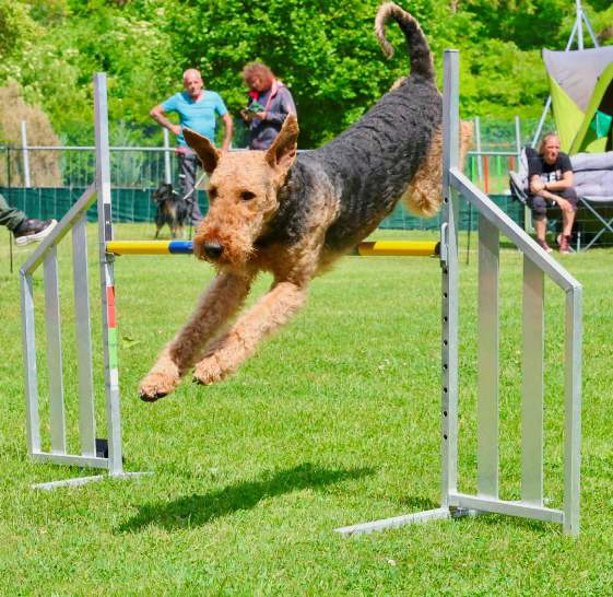 Flexx_Agility060626