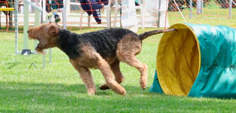 Flexx_Agility130626