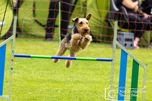 Flexx_Agility240825