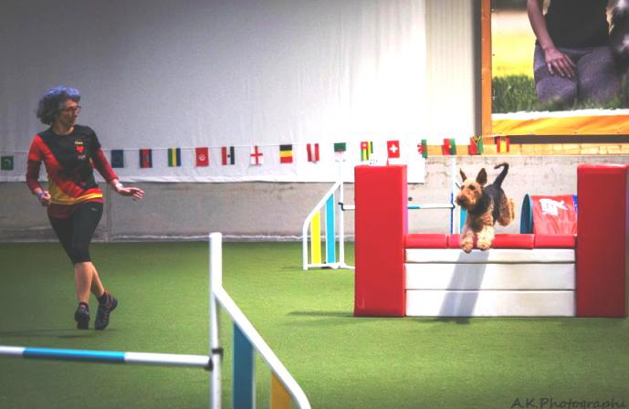 Flexx_Agility261025a