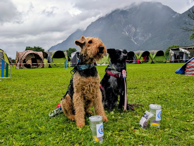 Flexx_Agility_020825a