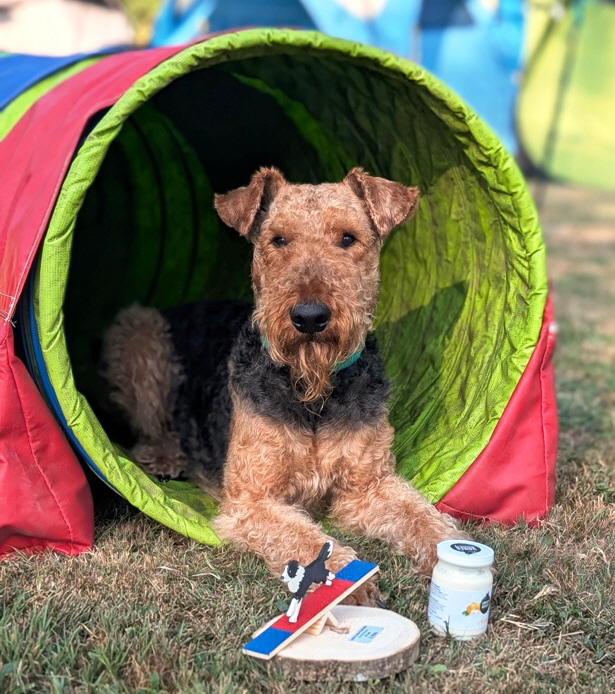 Flexx_Agility_230826b