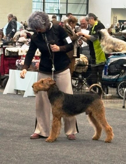 Flexx_CACIB_Karlsruhe2025