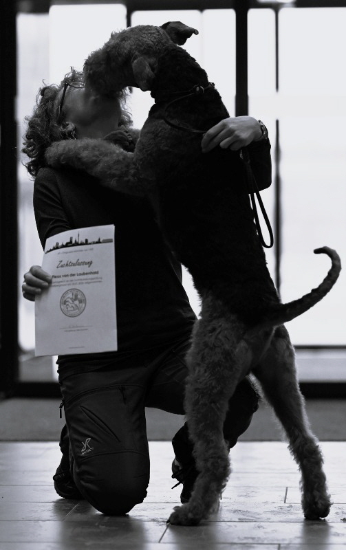 Flexx_ZZP2026_FotoSW