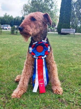 Franzi_140625a_ROBBeg