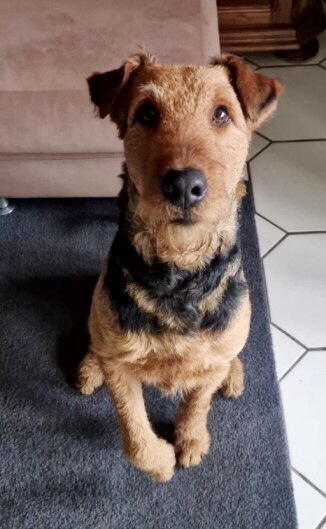 Herr_Kowalski_IGP1_131025