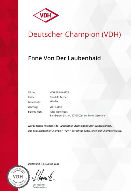 VDH_Champion_Enne2025