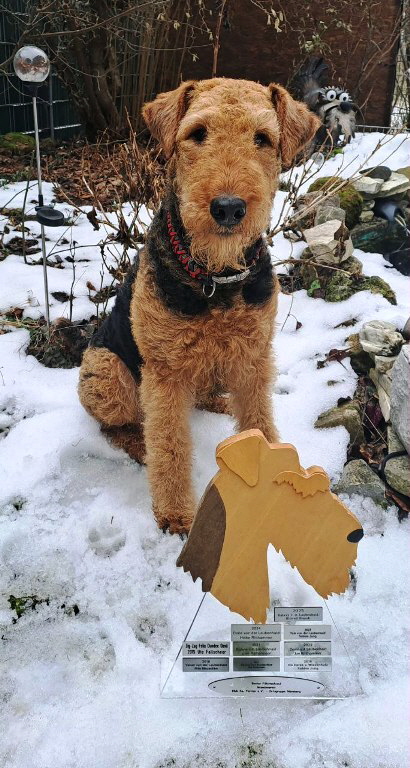 Wanderpokal_Galaxy2025