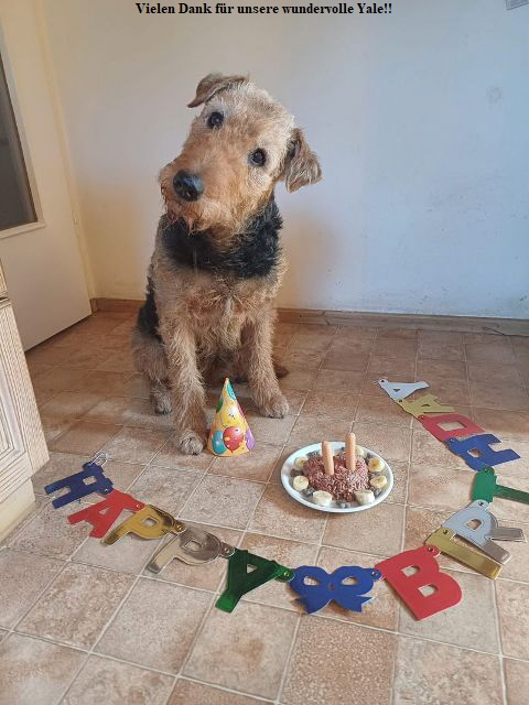 Y-Wurf_11Jahre_Yale1