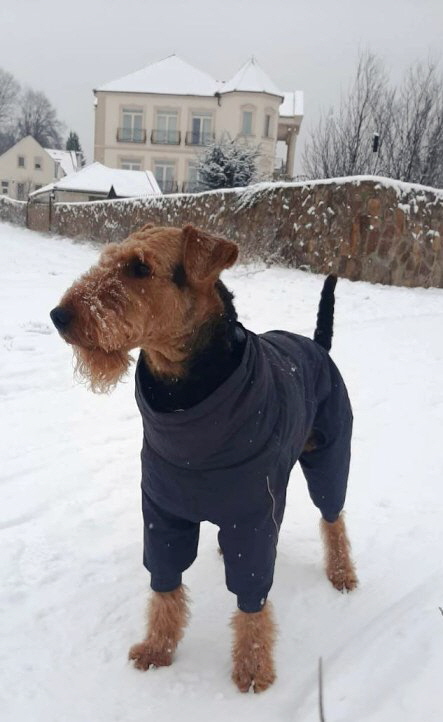 Xambie_Schnee