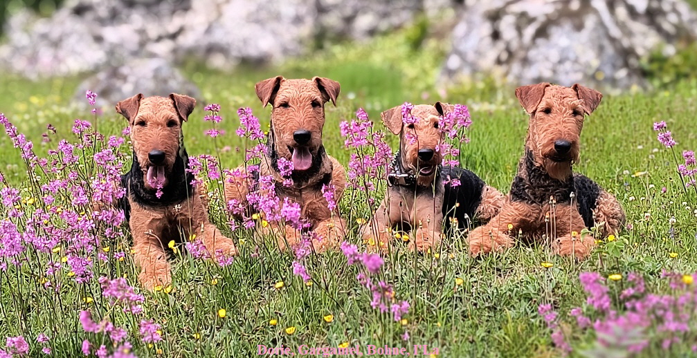 Laubenhaider_4Schweden2025